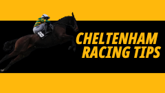 Image for Betfair's Friday racing tips at Cheltenham featuring three bets including one in the Gold Cup 